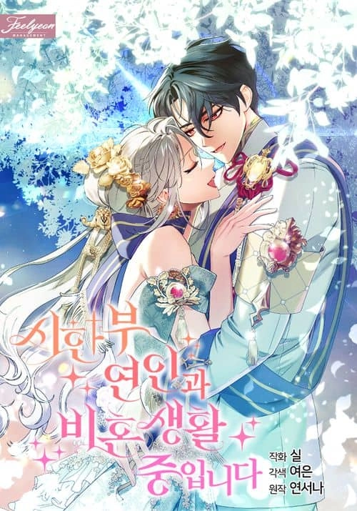 Cover of Living Unmarried With My Time Bound Lover